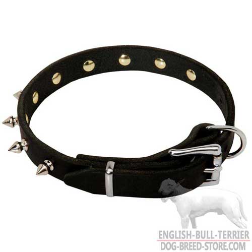 Fabulous Spiked Leather Dog Collar for Bull Terrier