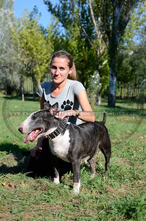  Spiked and Studded Leather Dog Collar for Bull Terrier Walking