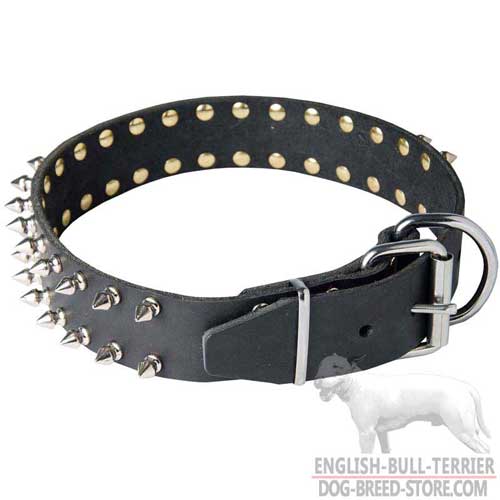 Spiked English Bull Terrier Collar with Easy-to-Use Buckle