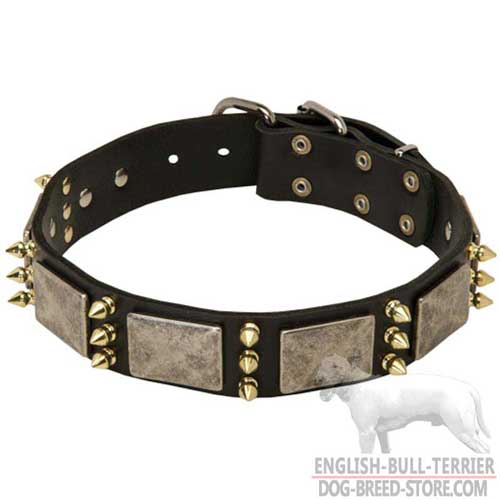 Strong Leather Bull Terrier Collar Spiked