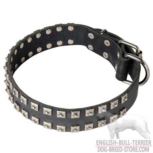 Strong Studded Leather Dog Collar for Bull Terrier Walking