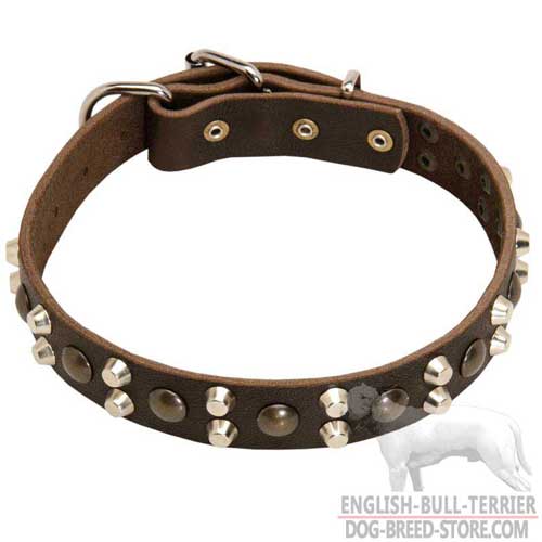 Walking Leather Bull Terrier Collar