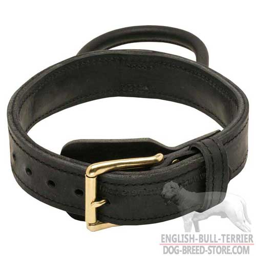 Two Ply Leather Dog Collar With Handle for Training Sessions