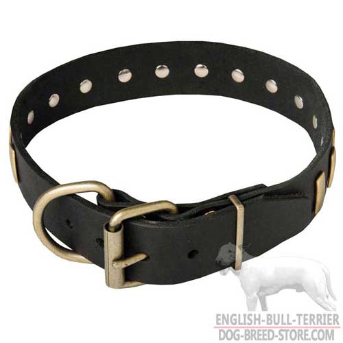 Unique Design Leather Bull Terrier Collar with Durable Brass Buckle