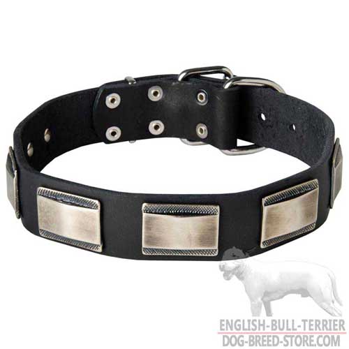 Unique Design Leather Bull Terrier Collar Decorated With Hand Set Plates