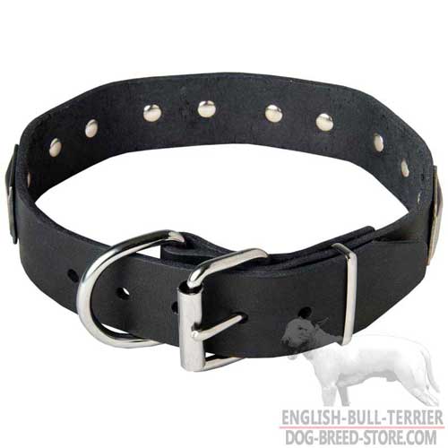 Bull Terrier Store Presents: Vintage Walking Leather Dog Collar