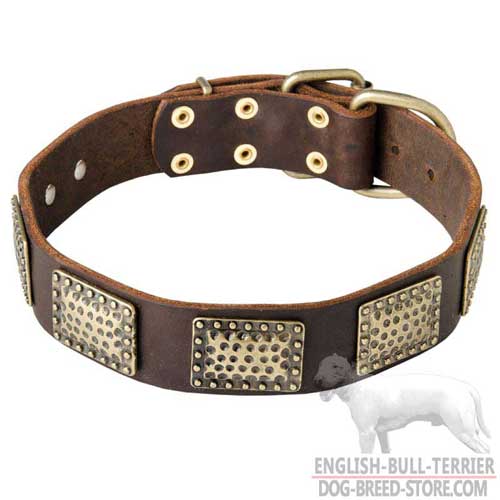 Vintage Design Leather Bull Terrier Collar 