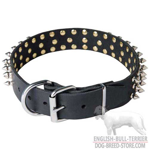 Bull Terrier Collar with Strong Buckle