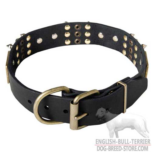 Walking Leather Dog Collar for Bull Terrier with Strong Brass Buckle