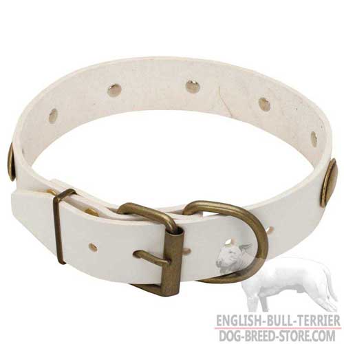 Designer White Leather Bull Terrier Collar with Durable Buckle