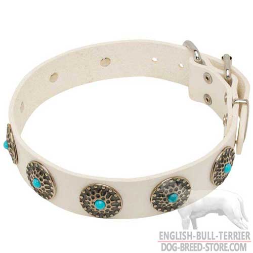 Exclusive Design White Bull Terrier Collar for Walking