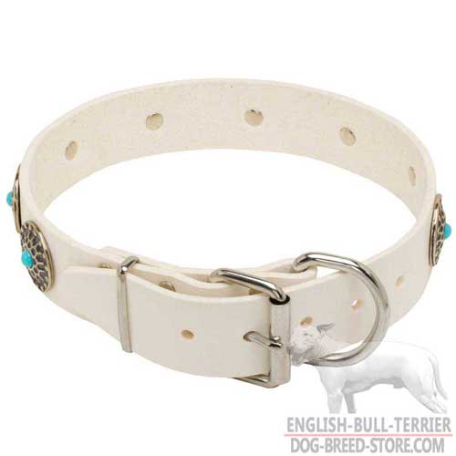 Fancy White Leather Bull Terrier Collar with Durable Nickel Buckle