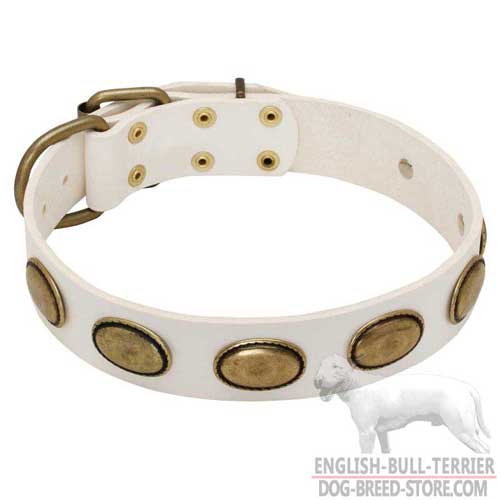 Vintage White Leather Bull Terrier Collar of Fashion Design