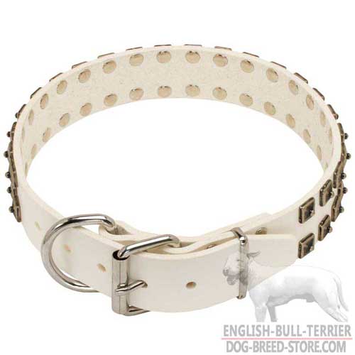 White Leather Bull Terrier Collar with Rust Proof Nickel Plated Fittings