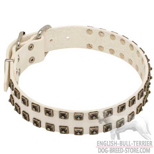 Hand-Decorated White Leather Bull Terrier Collar with Stylish Brass Studs