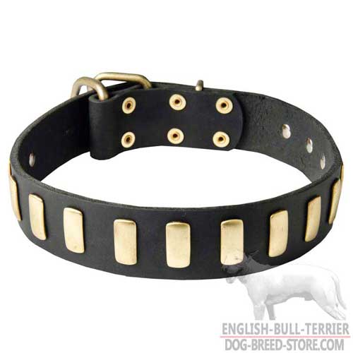 Wide Leather Bull Terrier Collar with Goldish Brass Plates