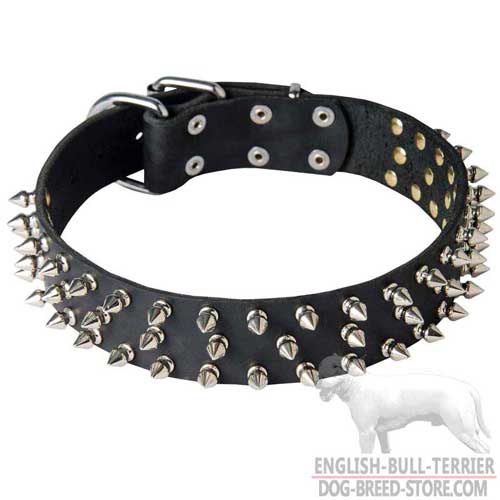 Bull Terrier Collar with Spiked Design