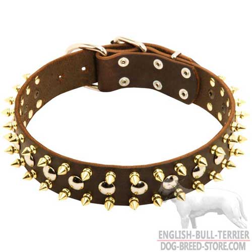 Bull Terrier Collar with Brass and Nickel Decorations