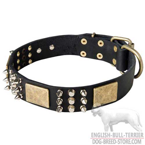 Wide Training Leather Dog Collar for Bull Terrier with Spikes and Pyramids