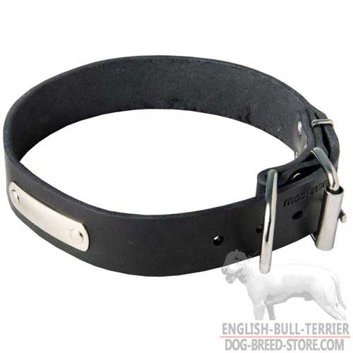 Walking Leather Bull Terrier Collar with Solid Metal ID Tag