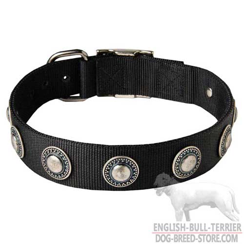 Awesome Walking Nylon Bull Terrier Collar Decorated With Silver Circles