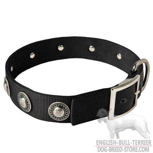 Fancy Designer Nylon Dog Collar for Bull Terrier Walking