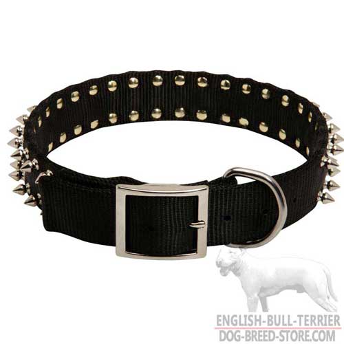 Bull Terrier Collar with Durable Buckle