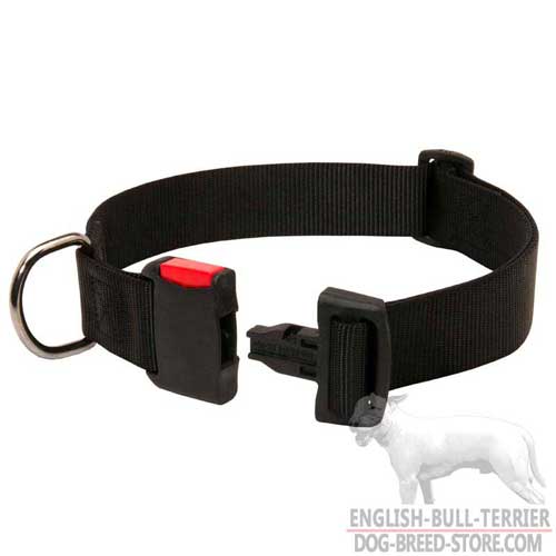 Nylon Bull Terrier Collar with Plastic Quick Release Buckle