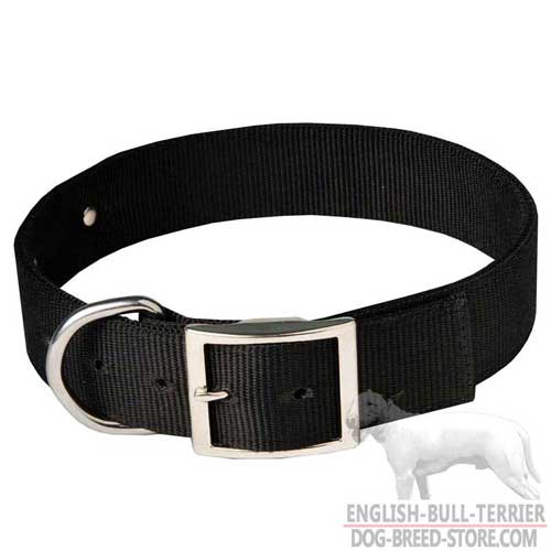 Walking Nylon Bull Terrier Collar with Steel Nickel Plated Buckle and D-Ring