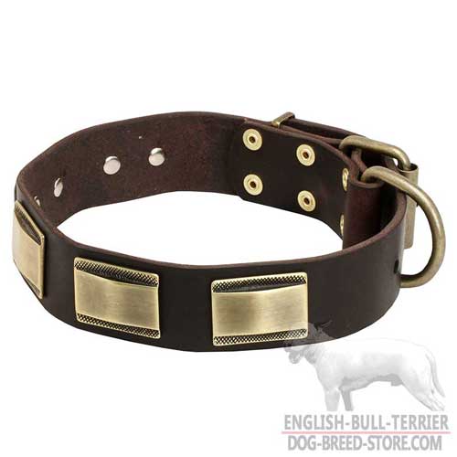 Bull Terrier Collar, Riveted Plates