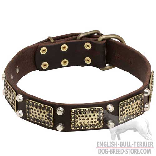 Bull Terrier Collar, Riveted Decorative Plates