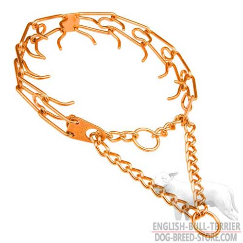 Training Curogan Bull Terrier Pinch Collar with Symmetrically Arranged Prongs