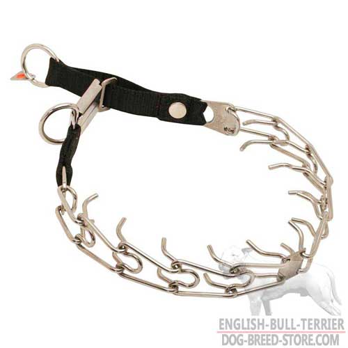 Training Stainless Steel Dog Pinch Collar for Bull Terrier