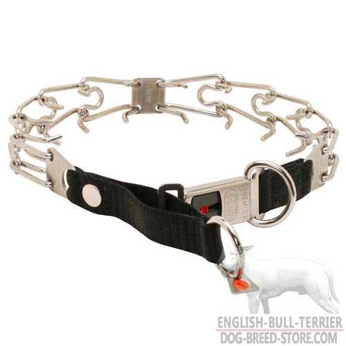 Reliable Bull Terrier Collar with Nylon Loop