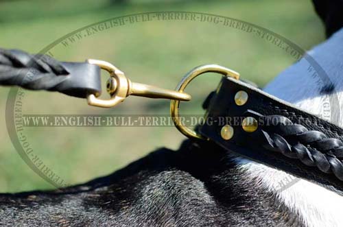 Solid D-Ring on Leather Bull Terrier Collar