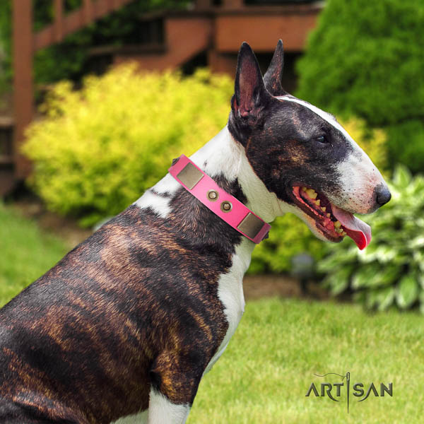 Bull Terrier easy adjustable full grain natural leather dog collar with adornments