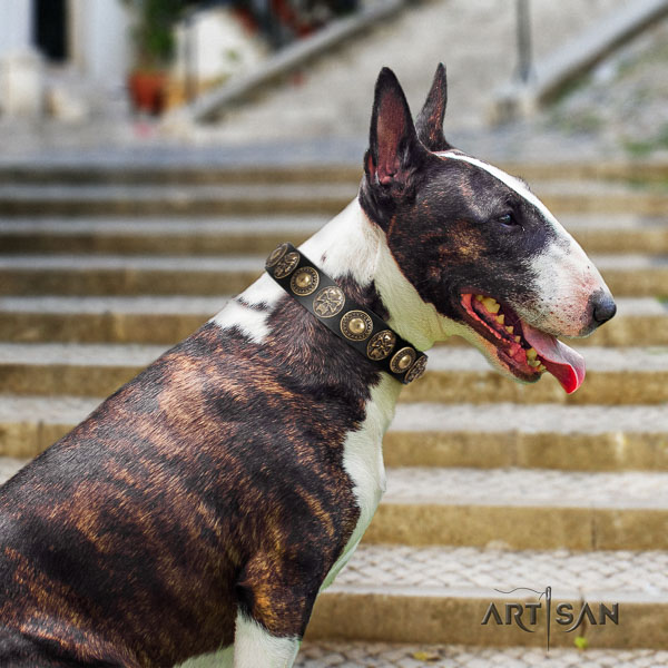 Bull Terrier exceptional genuine leather dog collar with decorations