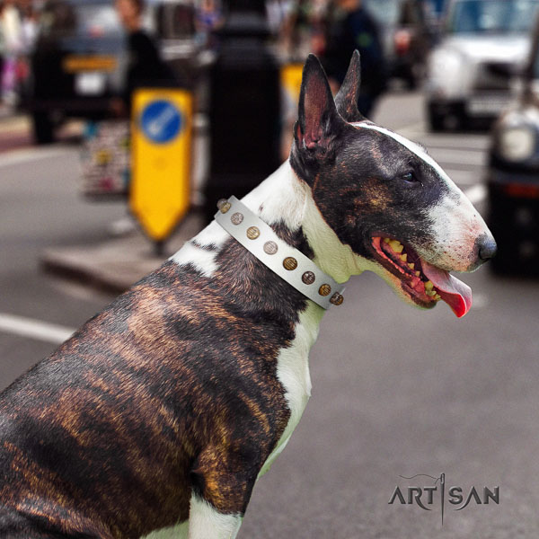 Bull Terrier walking dog collar of top quality leather