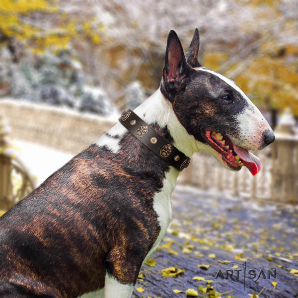 Bull Terrier stylish design natural genuine leather dog collar with adornments