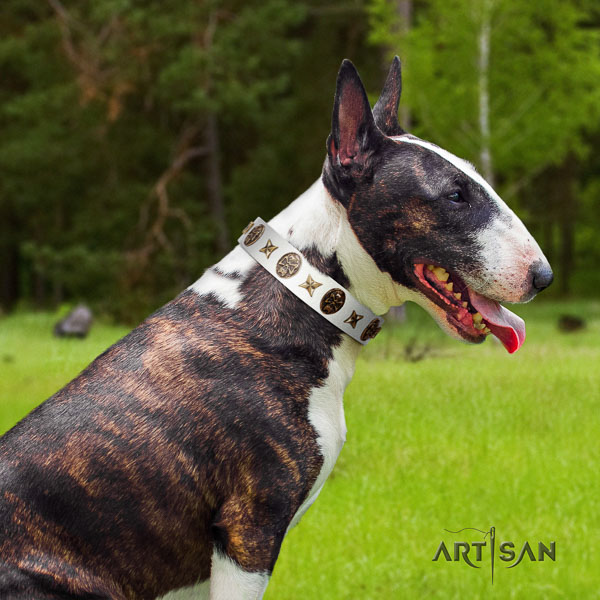 Bull Terrier stunning genuine leather dog collar with adornments
