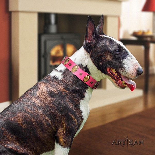 Bull Terrier everyday use dog collar of best quality leather