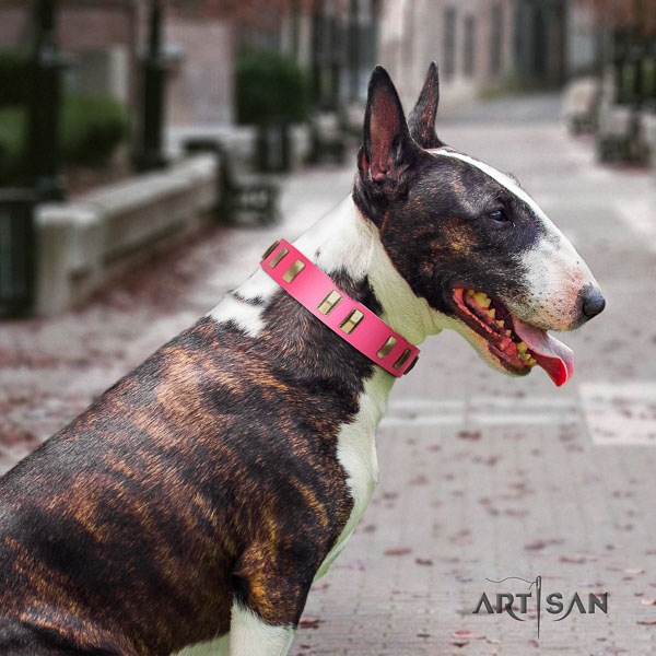 Bull Terrier everyday walking dog collar of incredible quality leather