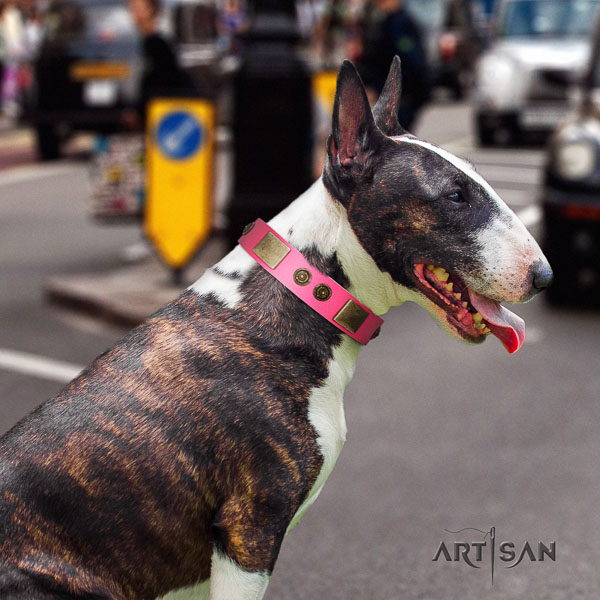 Bull Terrier handcrafted genuine leather dog collar with embellishments