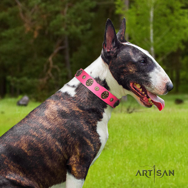 Bull Terrier adorned full grain leather dog collar with studs