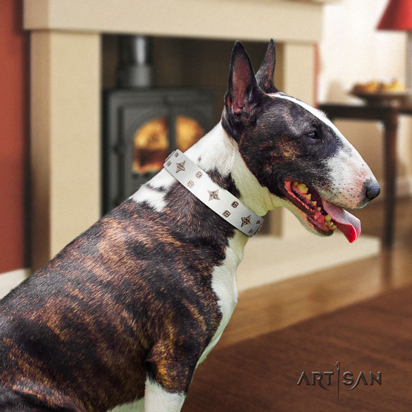 Bull Terrier comfortable wearing dog collar of top notch quality leather