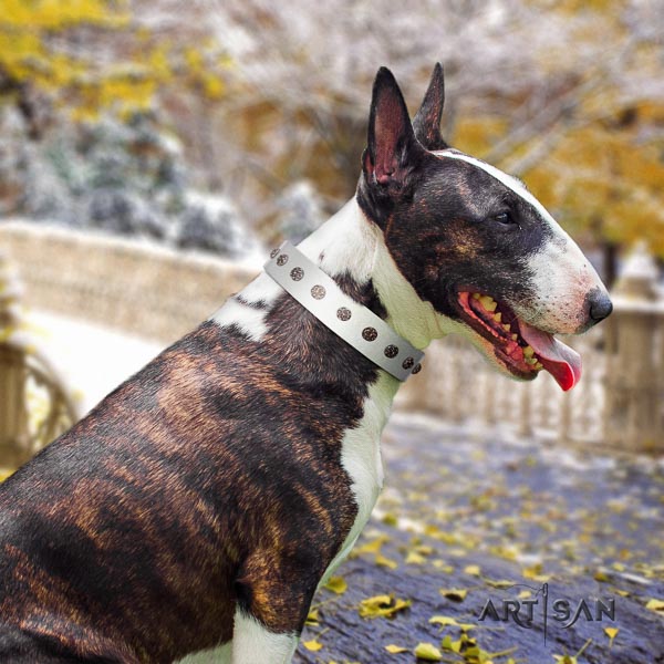 Bull Terrier basic training dog collar of best quality natural leather