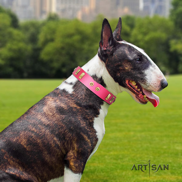 Bull Terrier fancy walking dog collar of top quality genuine leather