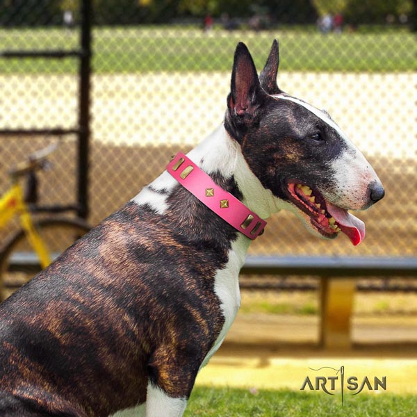 Bull Terrier comfortable full grain genuine leather dog collar with studs