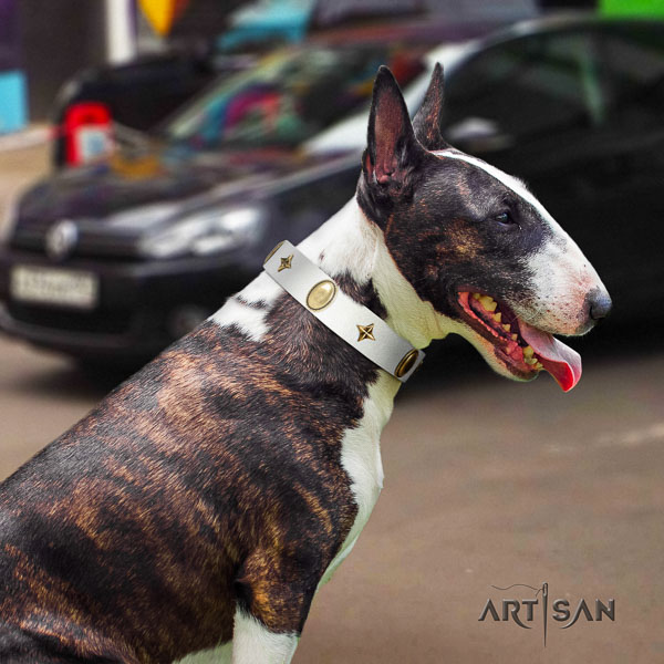 Bull Terrier everyday use dog collar of significant quality natural leather