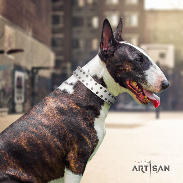 Bull Terrier daily use dog collar of trendy natural leather